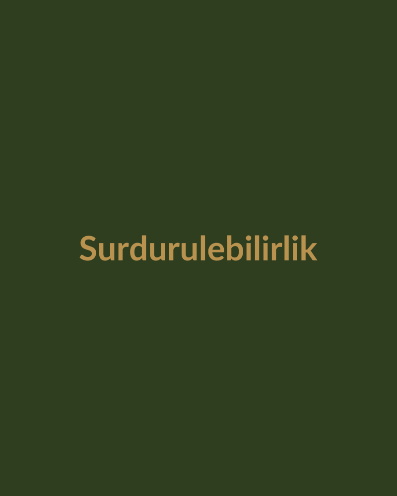 Sürdürülebilirlik
