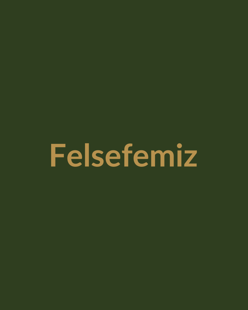 Felsefemiz