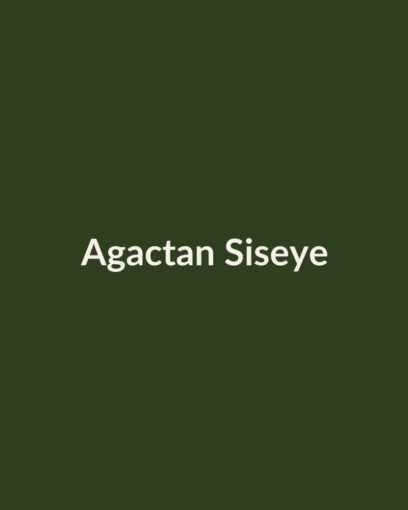 Üretim Sürecimiz