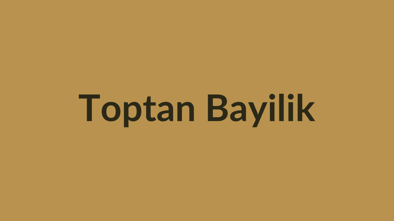 Toptan & Bayilik